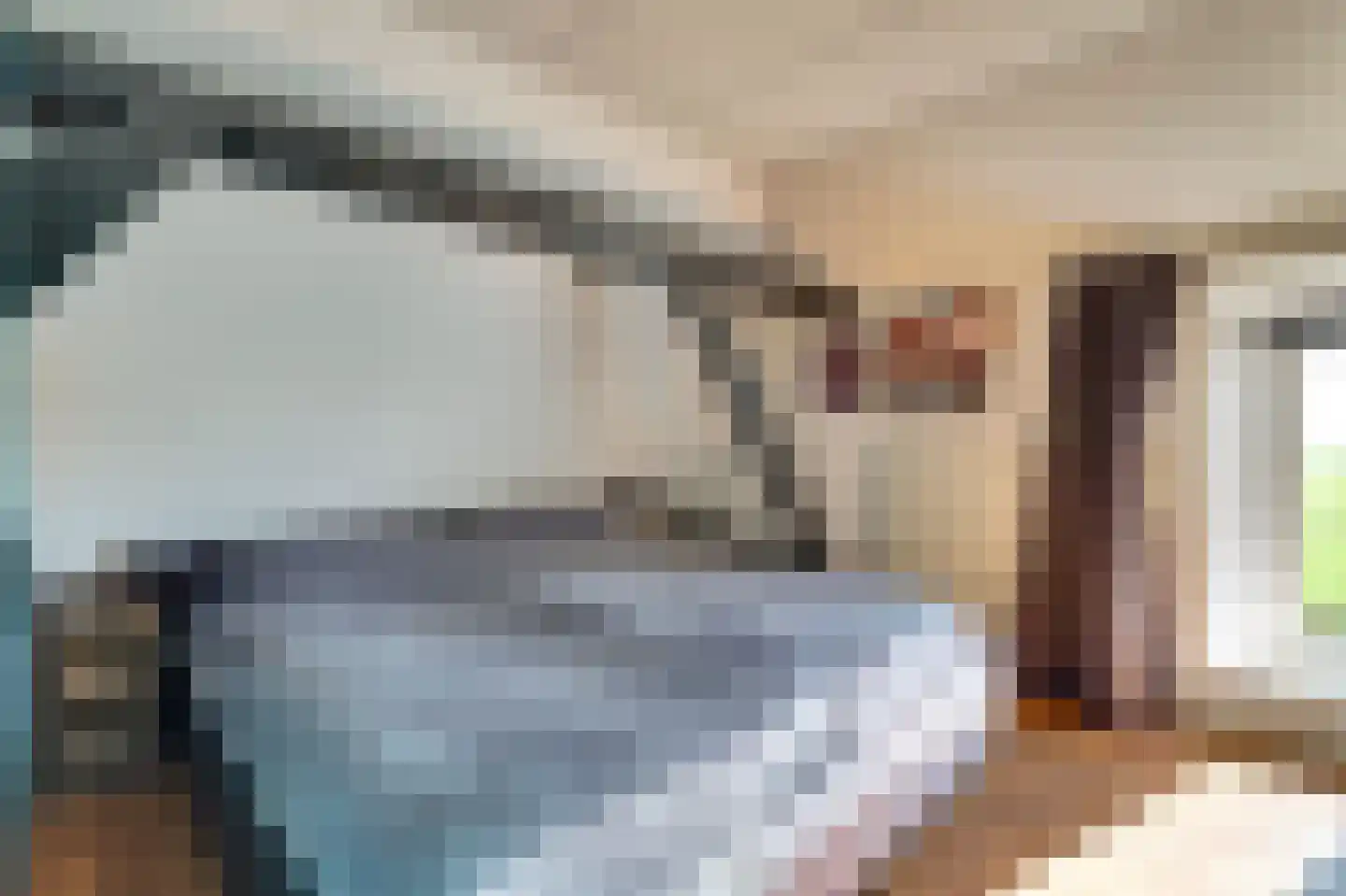Bandsloot 25 Bantega thumbnail 34