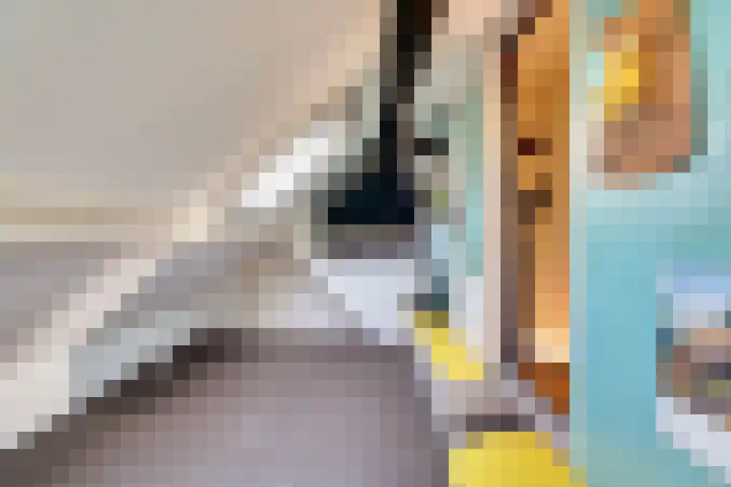 Bandsloot 25 Bantega thumbnail 36