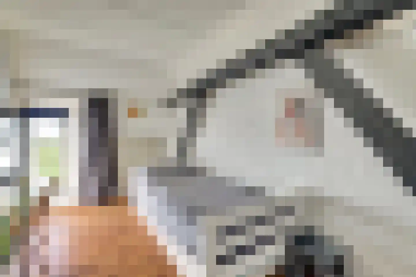 Bandsloot 25 Bantega thumbnail 37