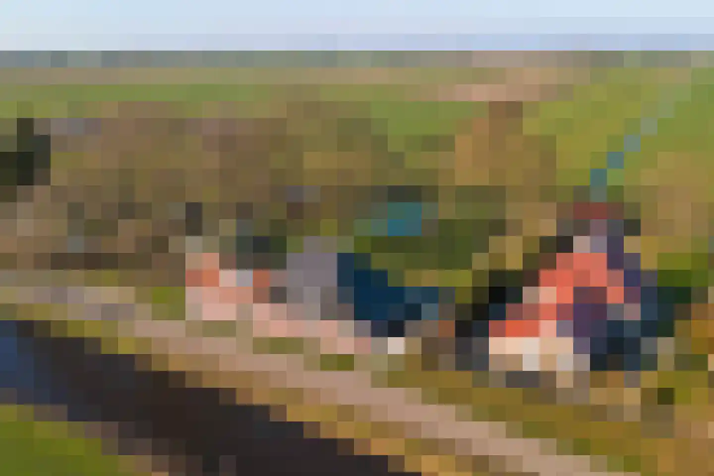 Bandsloot 25 Bantega thumbnail 39