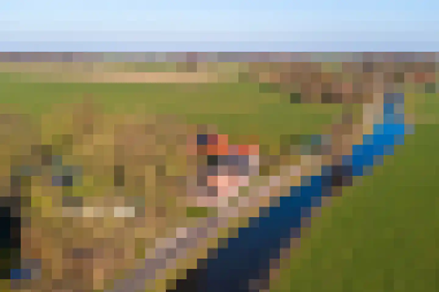 Bandsloot 25 Bantega thumbnail 40