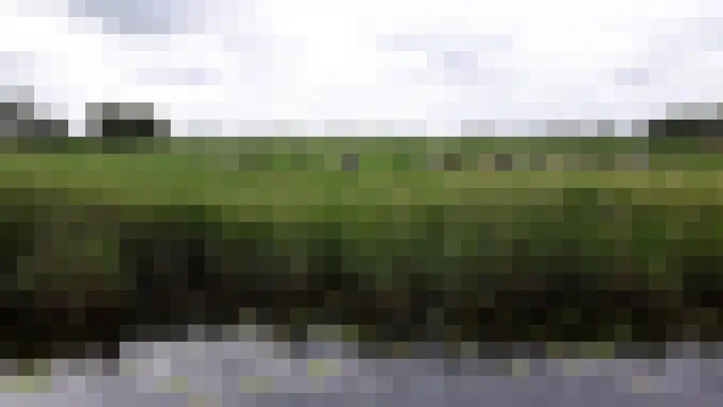 Bandsloot 25 Bantega thumbnail 41