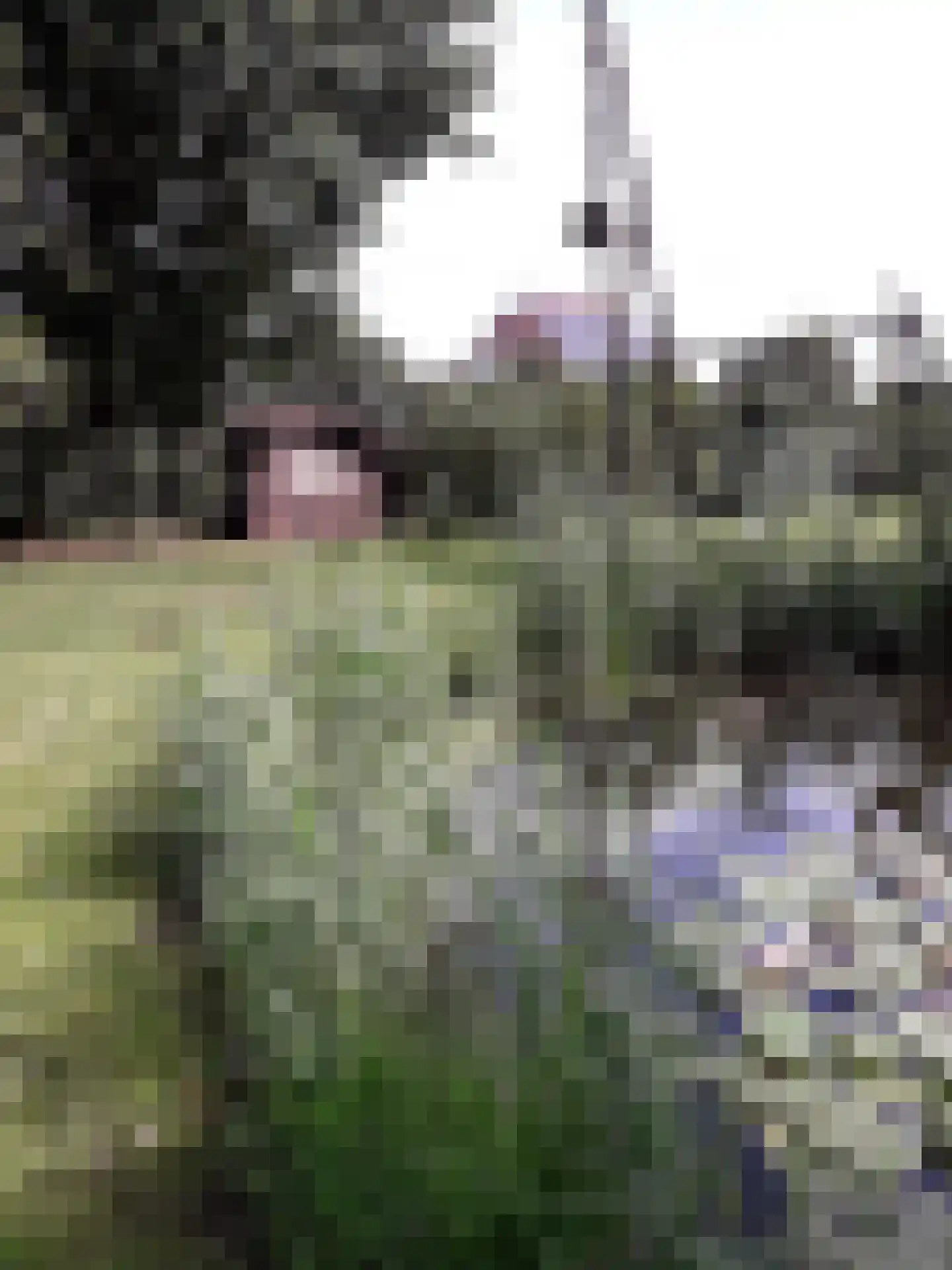 Bandsloot 25 Bantega thumbnail 43