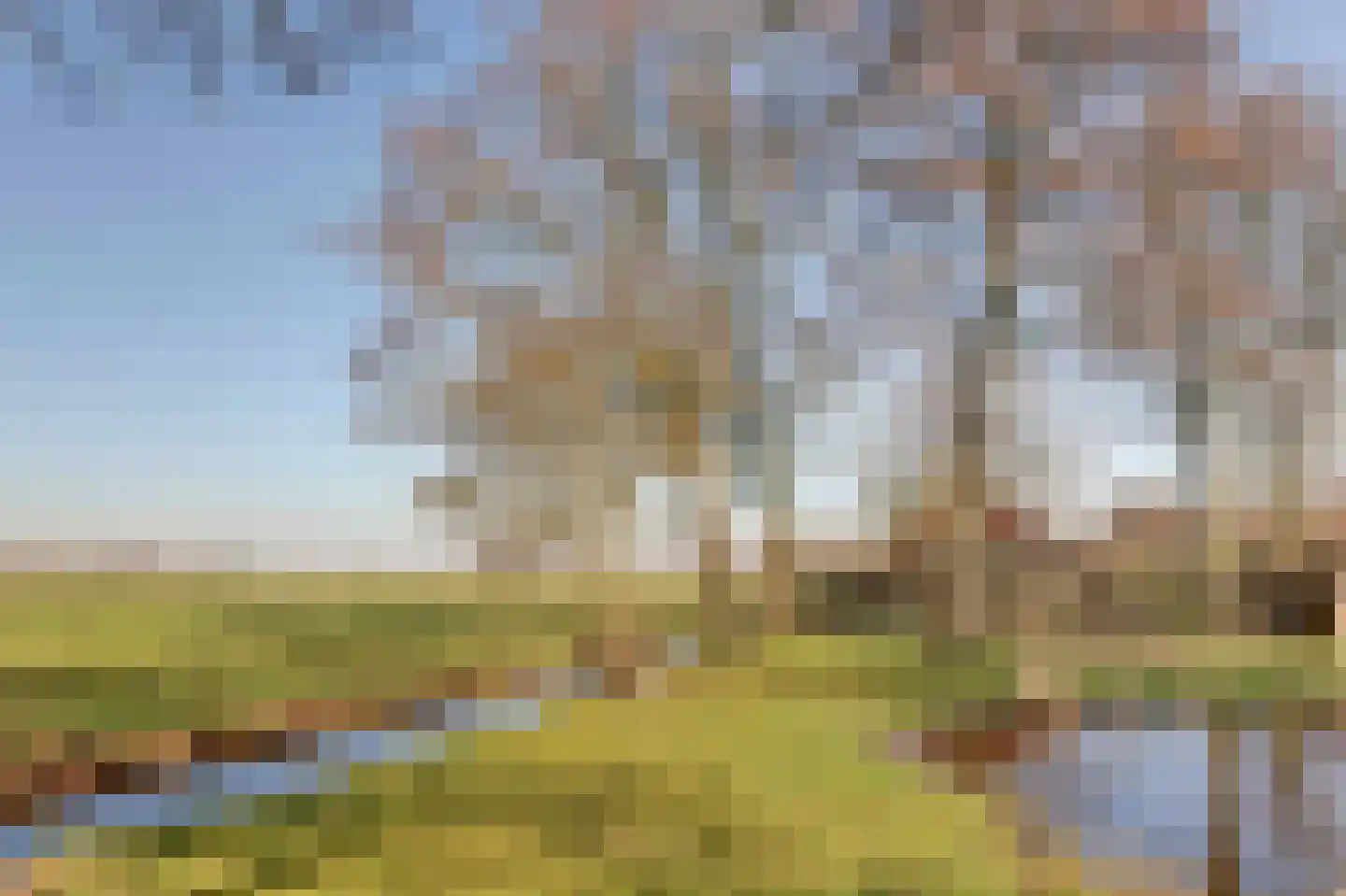 Bandsloot 25 Bantega thumbnail 48