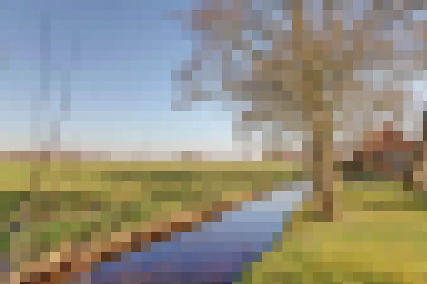 Bandsloot 25 Bantega thumbnail 49