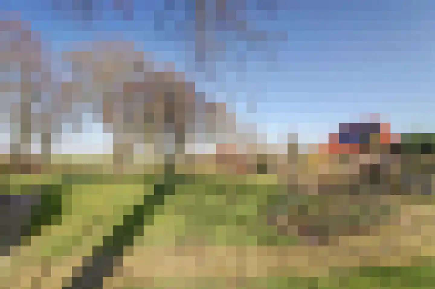 Bandsloot 25 Bantega thumbnail 7