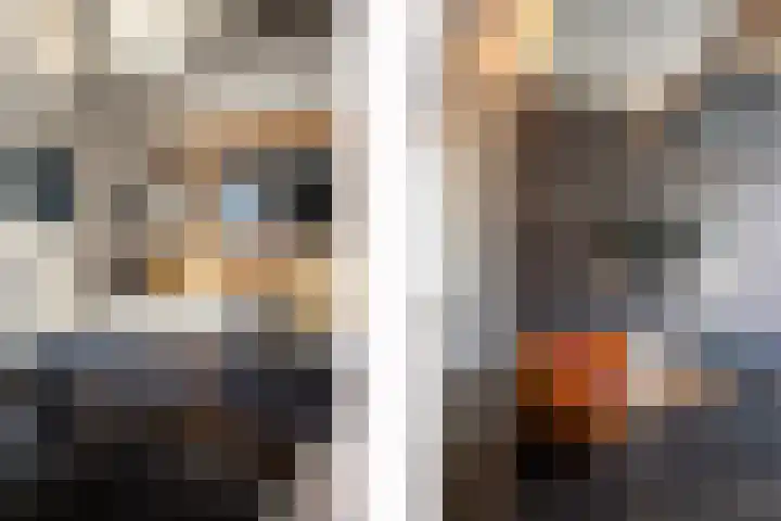 Bandstraat 1 A Born thumbnail 11