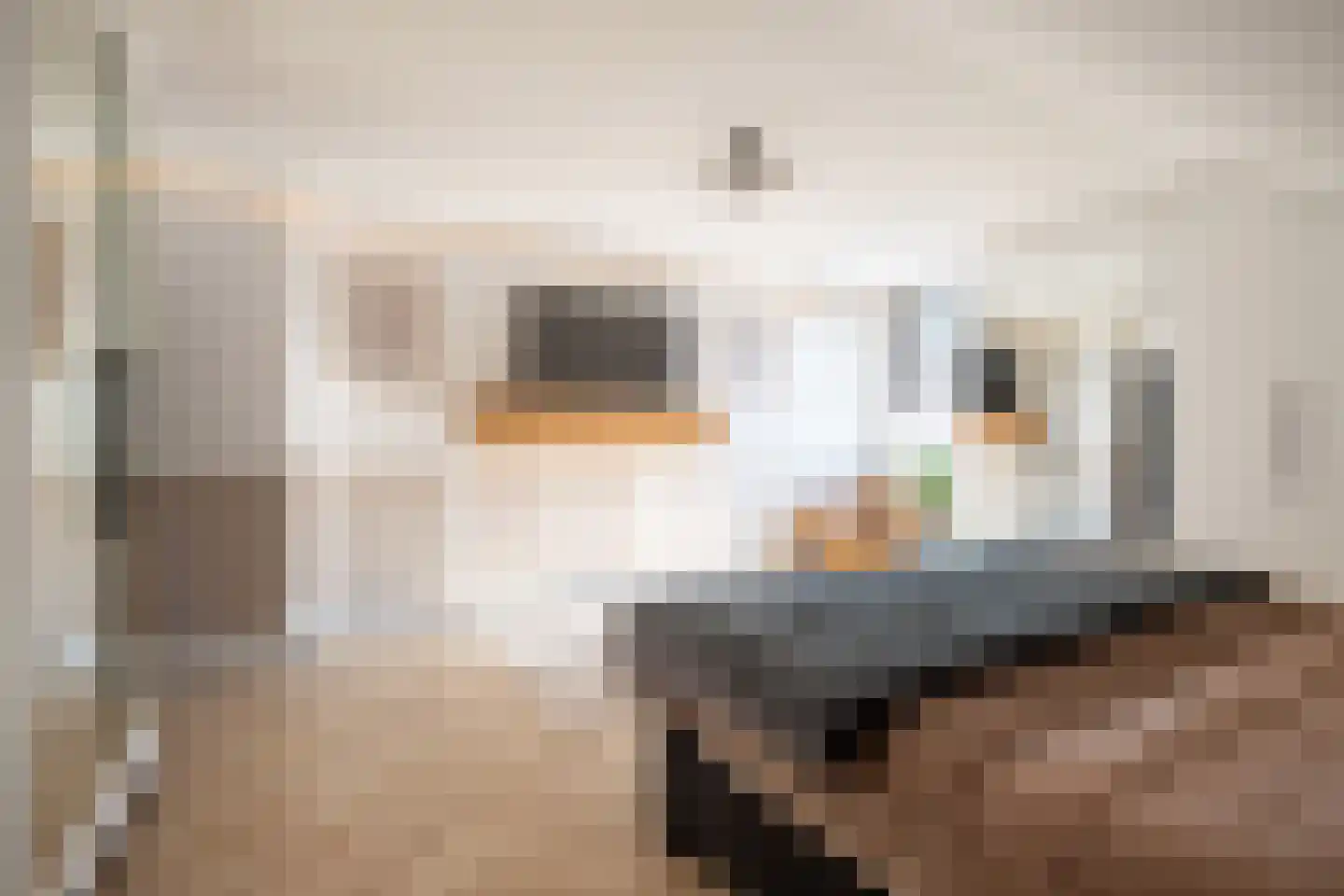 Bandstraat 1 A Born thumbnail 18