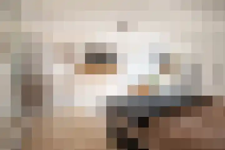 Bandstraat 1 A Born thumbnail 18