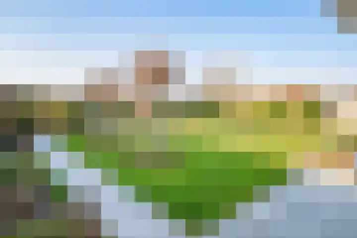 Bandstraat 1 A Born thumbnail 27