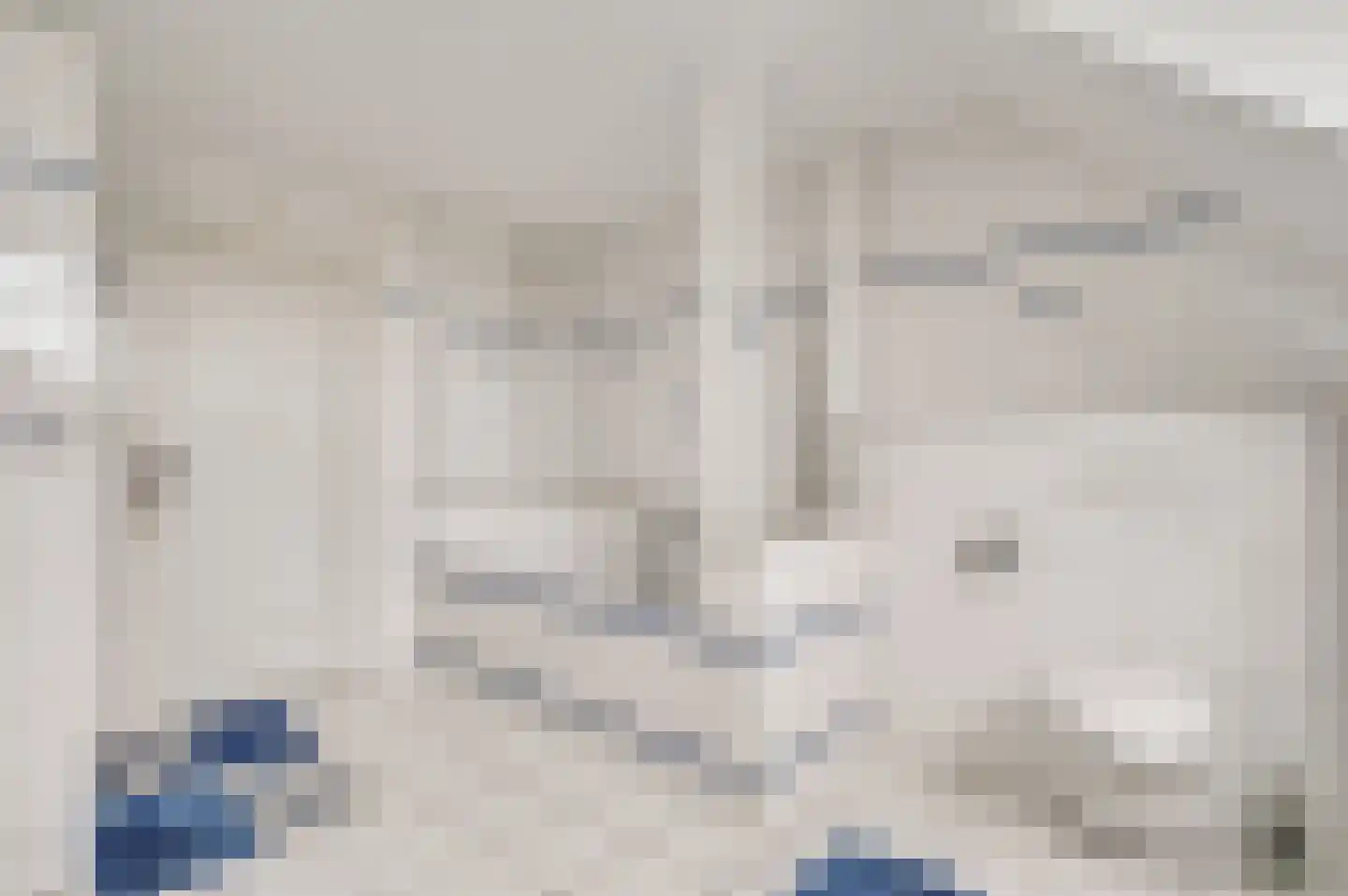 Bandstraat 1 Born thumbnail 24