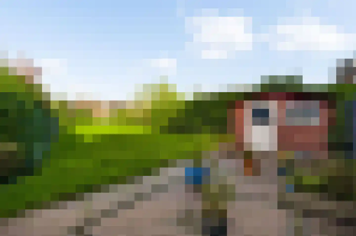 Bandstraat 1 Born thumbnail 31