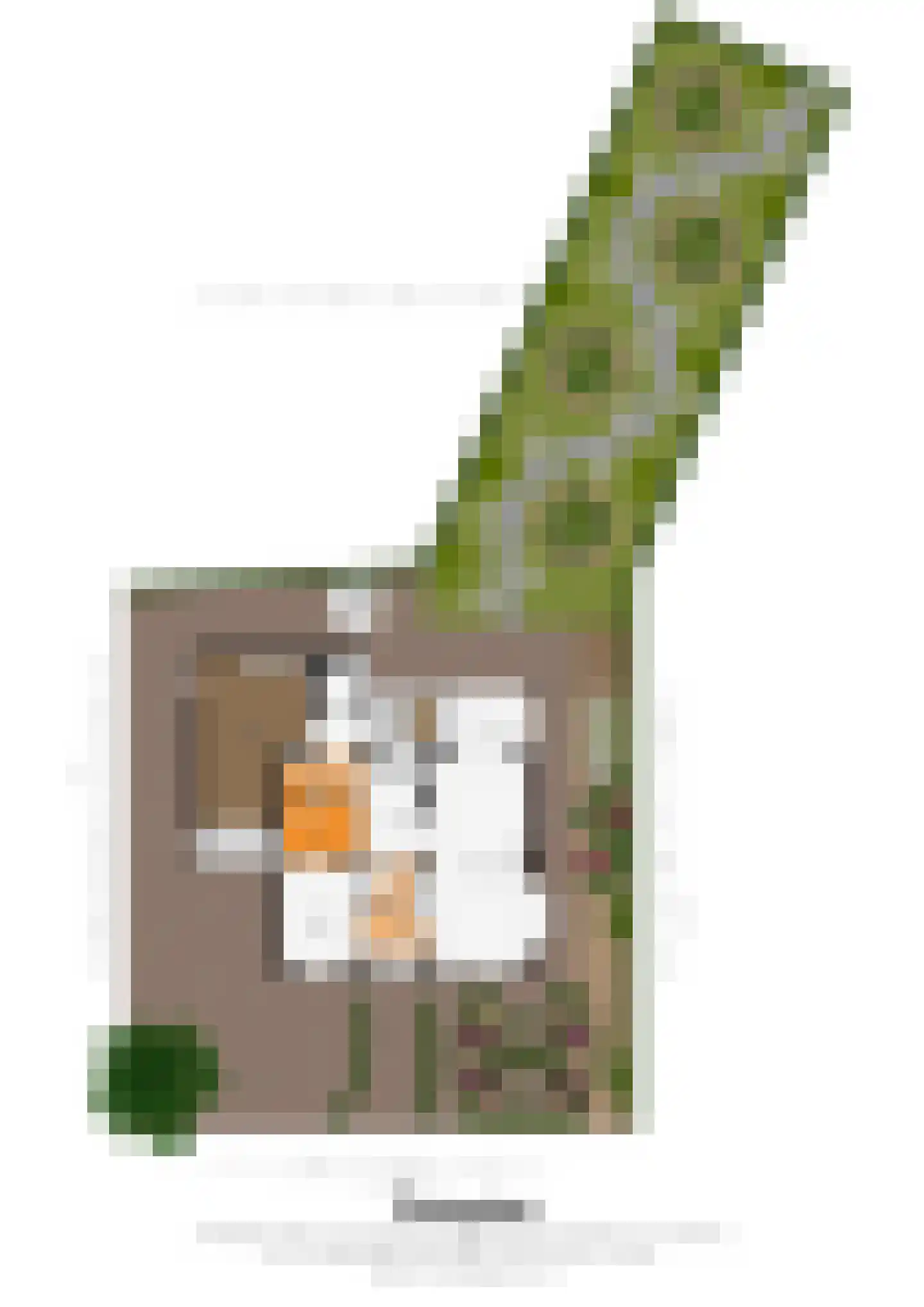 Bandstraat 1 Born thumbnail 35
