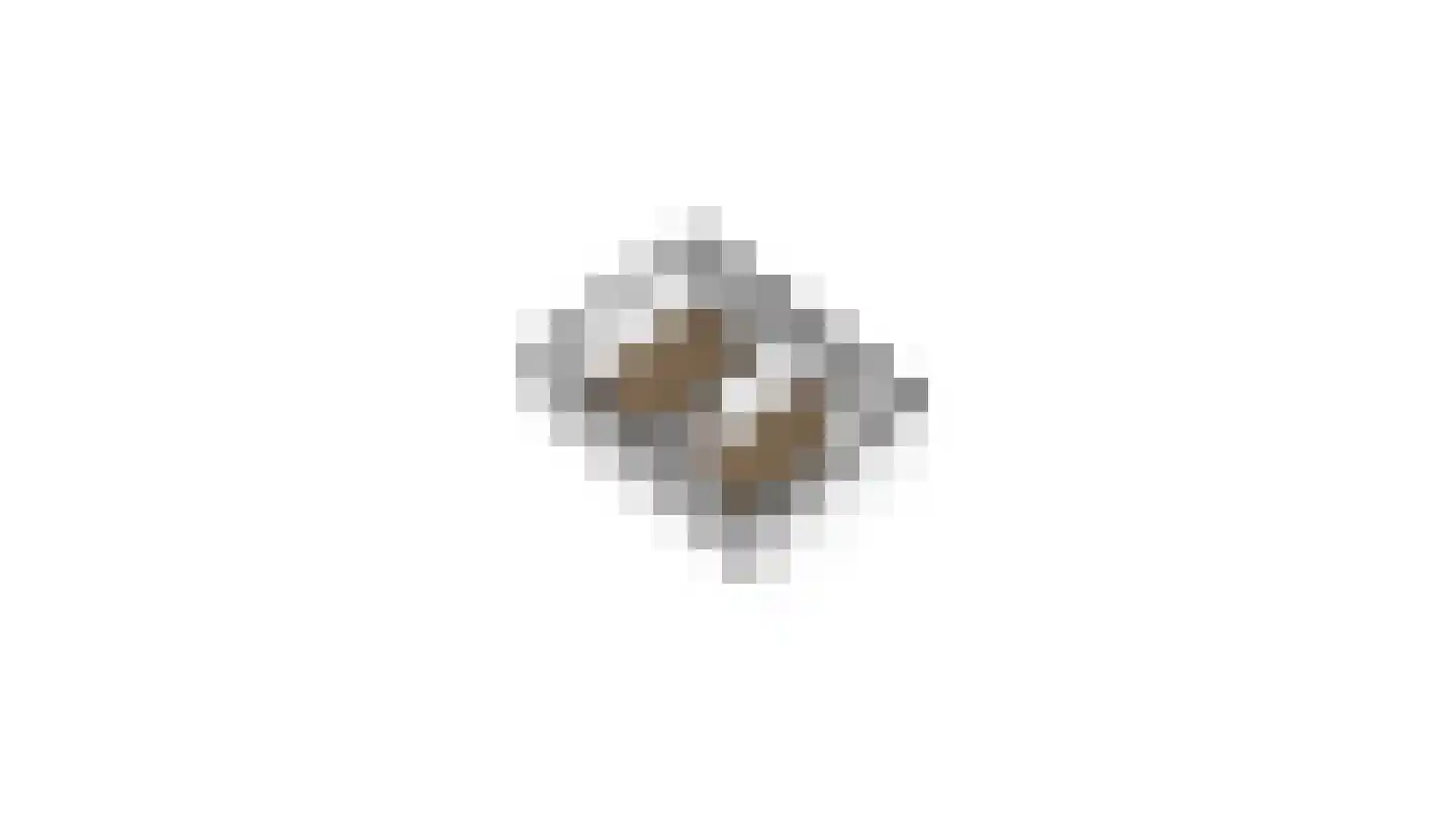 Bandstraat 1 Born thumbnail 44