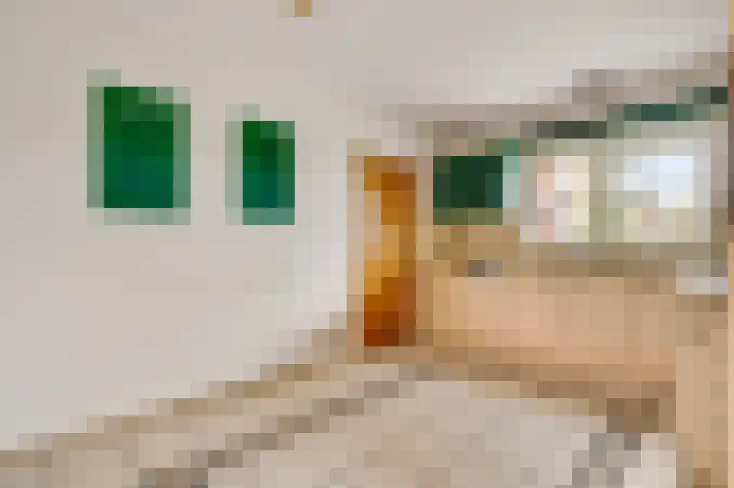Bandstraat 1 Born thumbnail 8