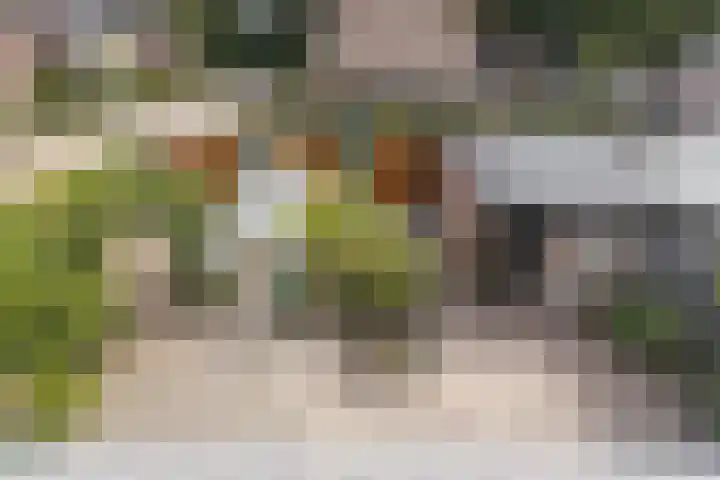 Banekaterveld 12 Colmschate thumbnail 20