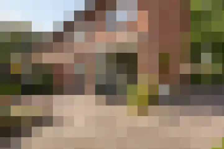 Banekaterveld 12 Colmschate thumbnail 21