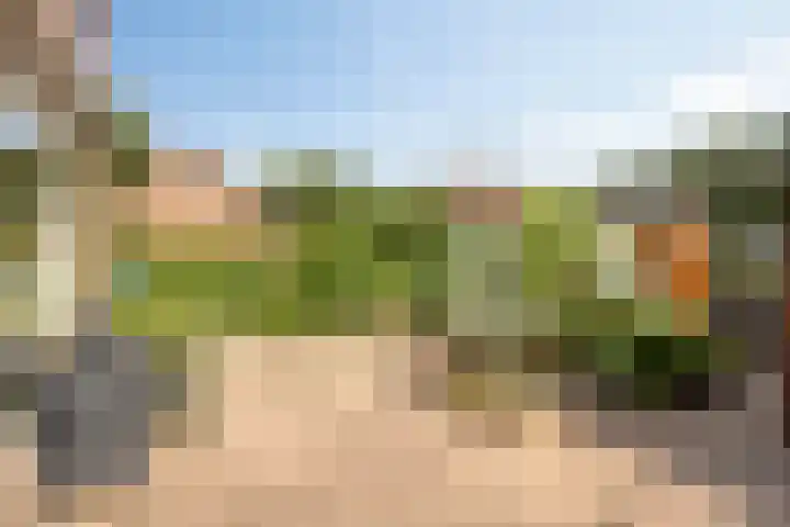 Banekaterveld 12 Colmschate thumbnail 22