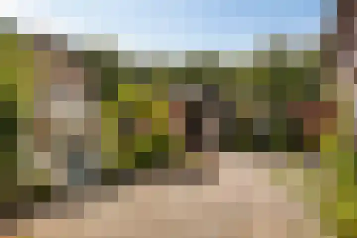 Banekaterveld 12 Colmschate thumbnail 23