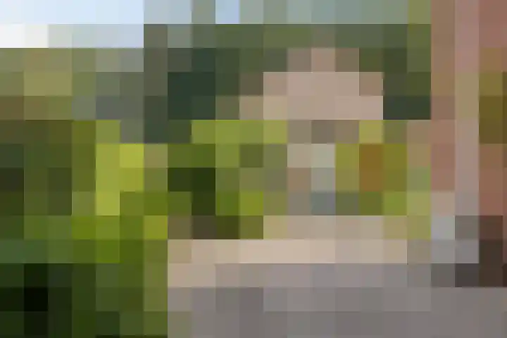 Banekaterveld 12 Colmschate thumbnail 24