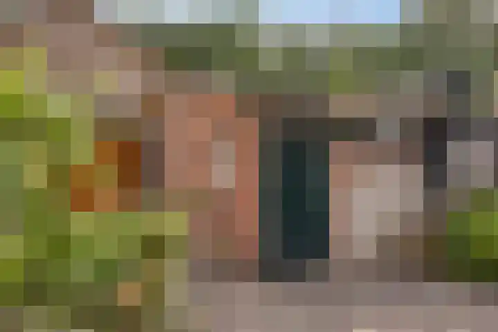 Banekaterveld 12 Colmschate thumbnail 26