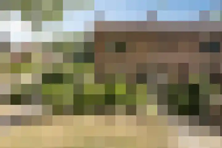 Banekaterveld 12 Colmschate thumbnail 28