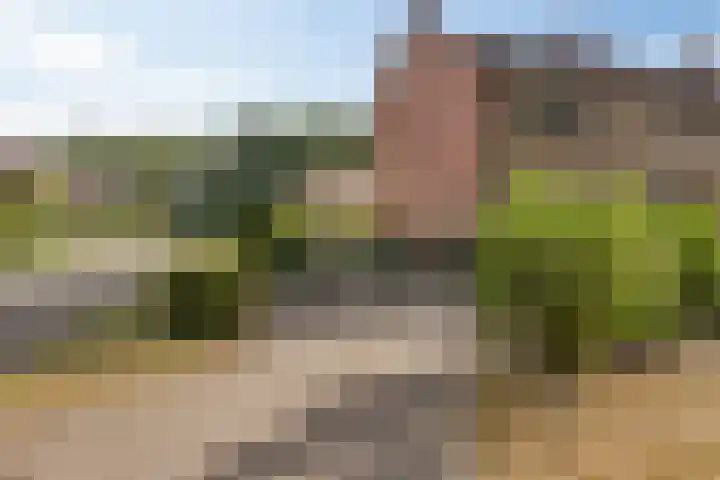 Banekaterveld 12 Colmschate thumbnail 29