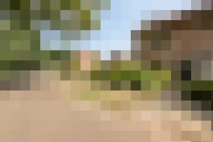 Banekaterveld 12 Colmschate thumbnail 30