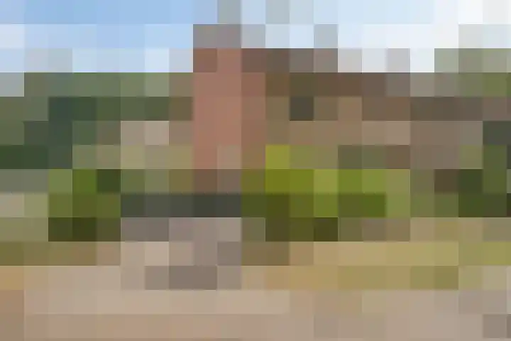 Banekaterveld 12 Colmschate thumbnail 32