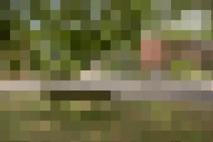 Banekaterveld 12 Colmschate thumbnail 34