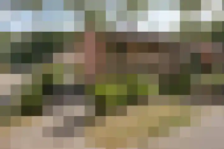 Banekaterveld 12 Colmschate thumbnail 39