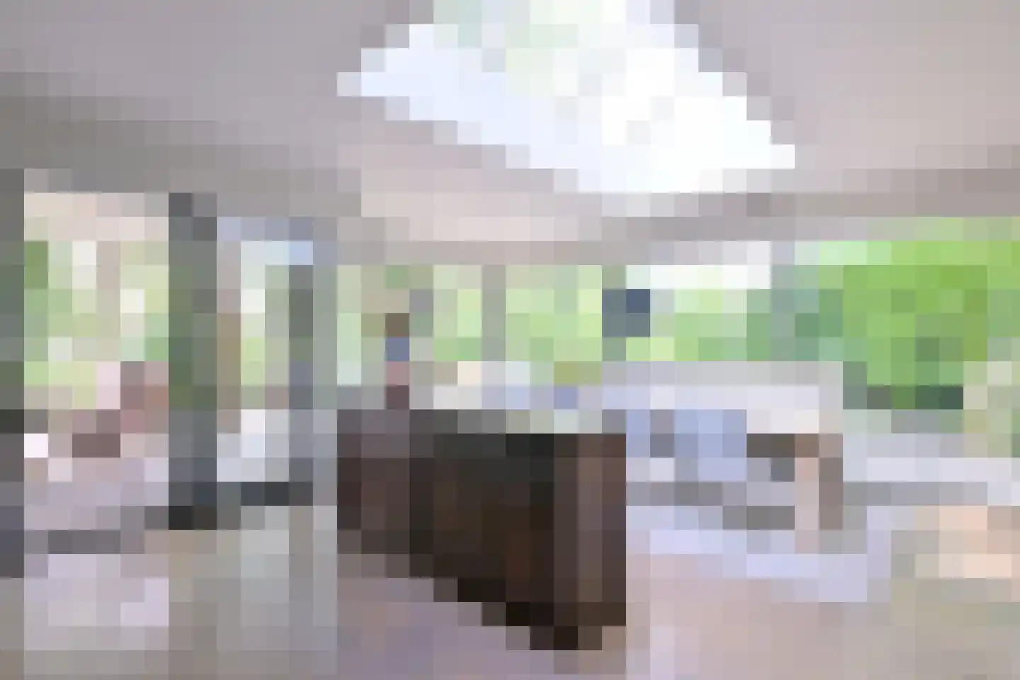 Banekaterveld 31 Colmschate thumbnail 12