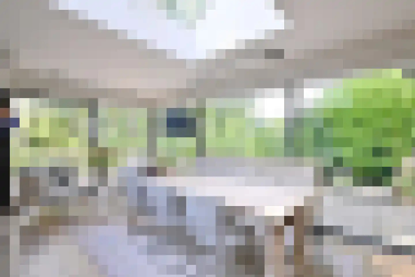 Banekaterveld 31 Colmschate thumbnail 13