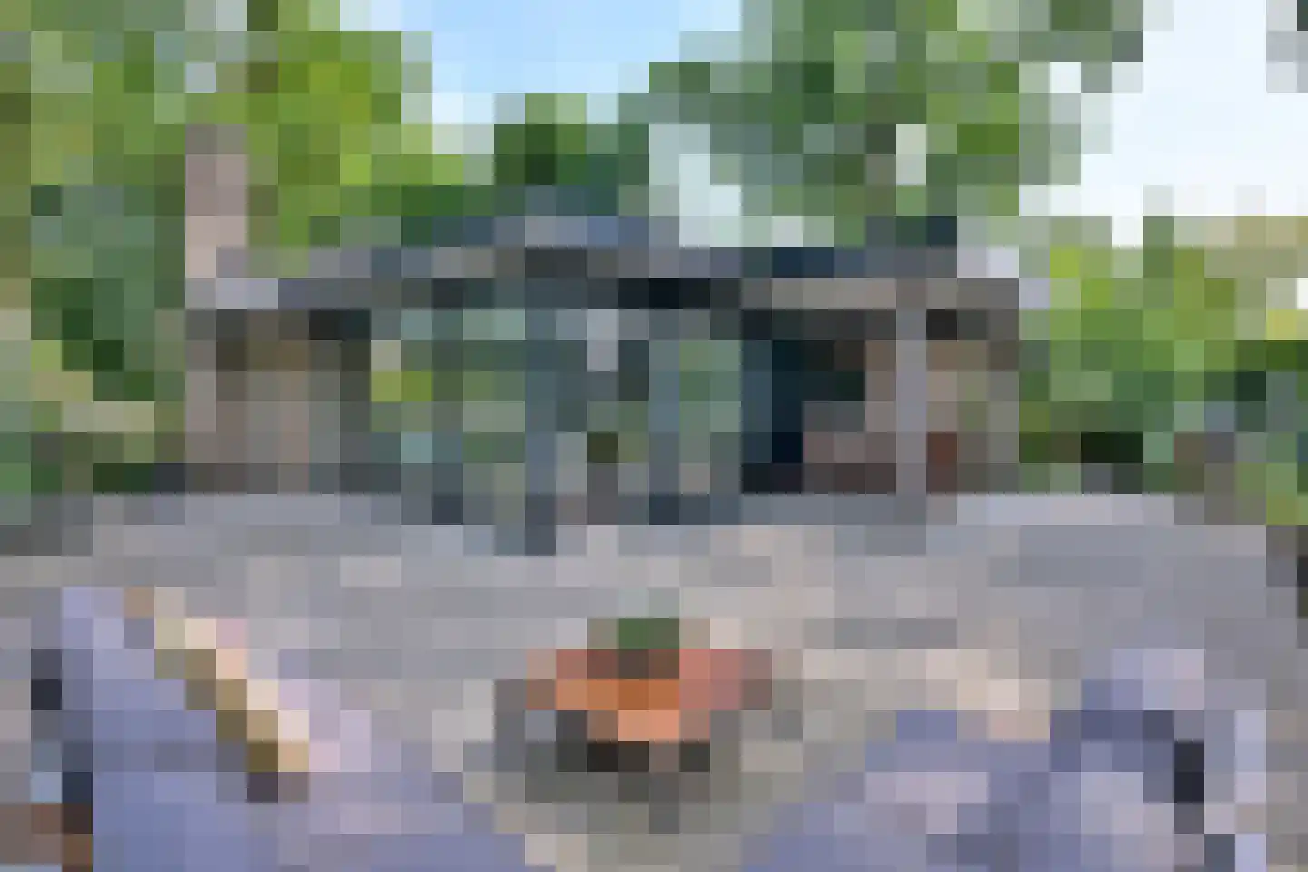 Banekaterveld 31 Colmschate thumbnail 32