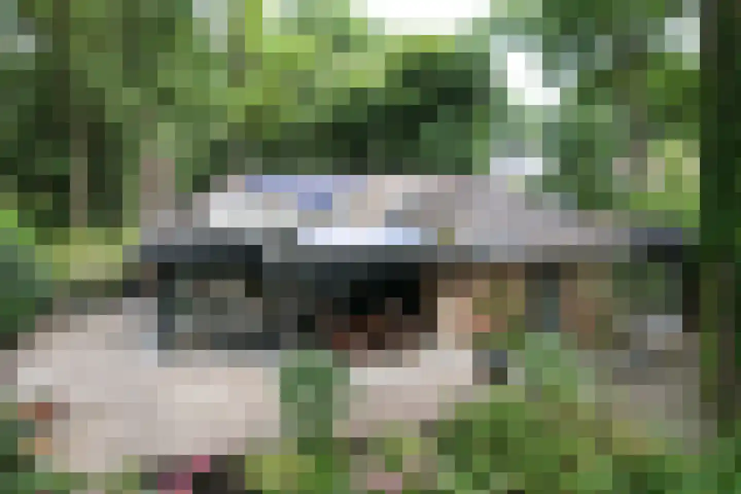 Banekaterveld 31 Colmschate thumbnail 40