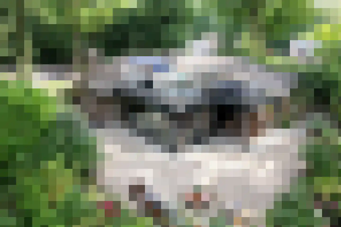 Banekaterveld 31 Colmschate thumbnail 41