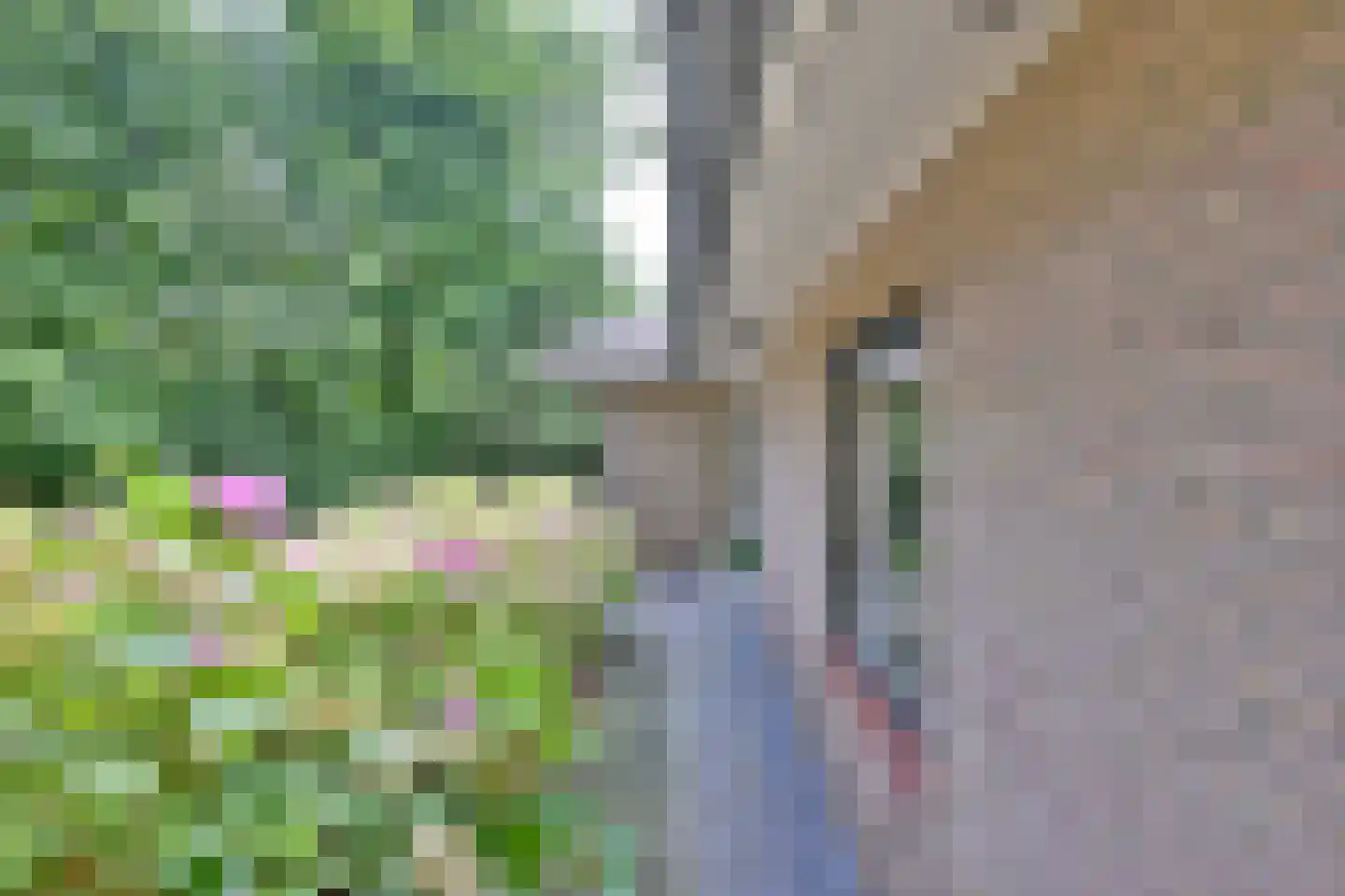 Banekaterveld 31 Colmschate thumbnail 42