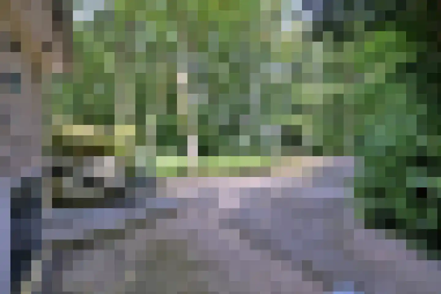 Banekaterveld 31 Colmschate thumbnail 43