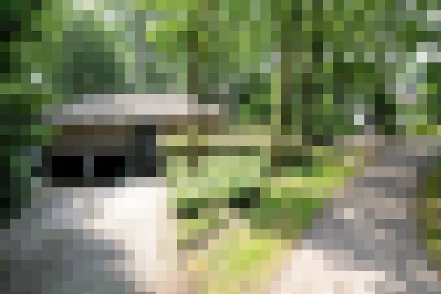 Banekaterveld 31 Colmschate thumbnail 44