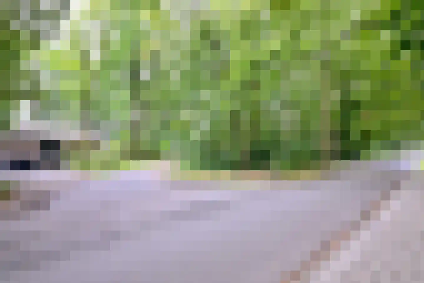 Banekaterveld 31 Colmschate thumbnail 45