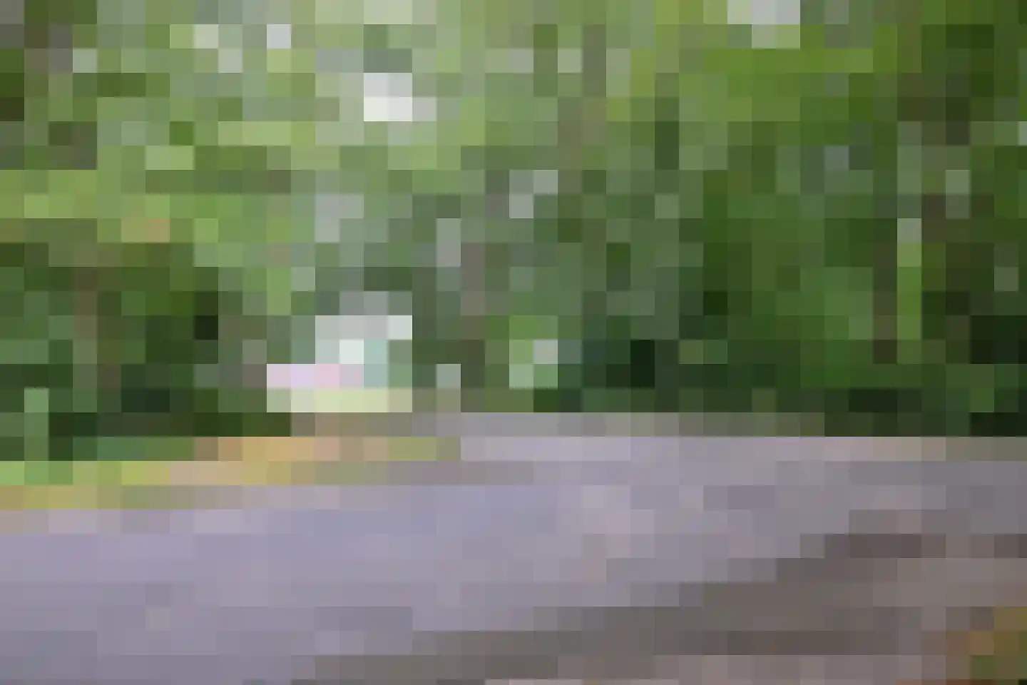 Banekaterveld 31 Colmschate thumbnail 47
