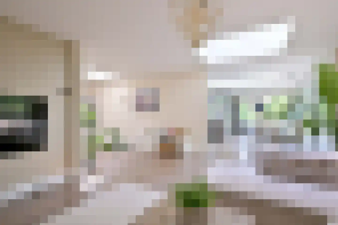 Banekaterveld 31 Colmschate thumbnail 7