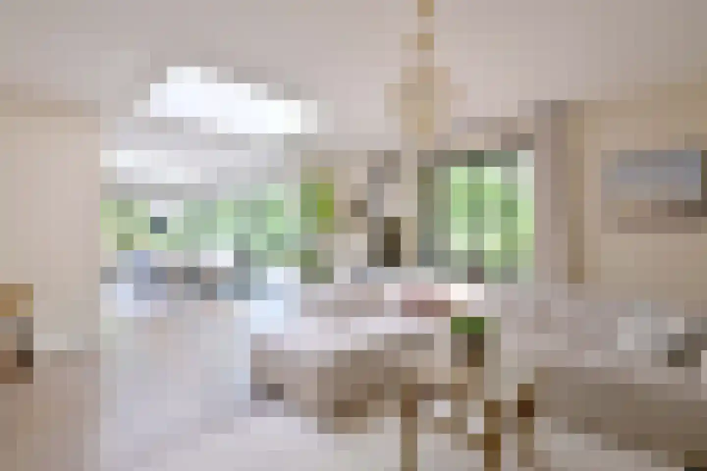 Banekaterveld 31 Colmschate thumbnail 8