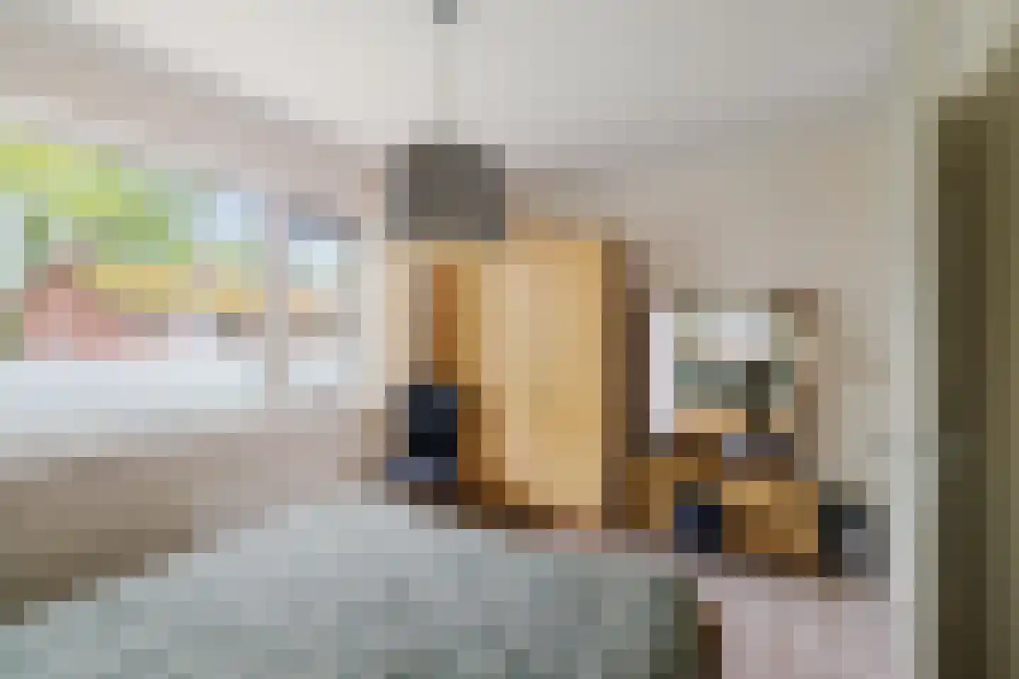 Banekaterveld 6 Colmschate thumbnail 13