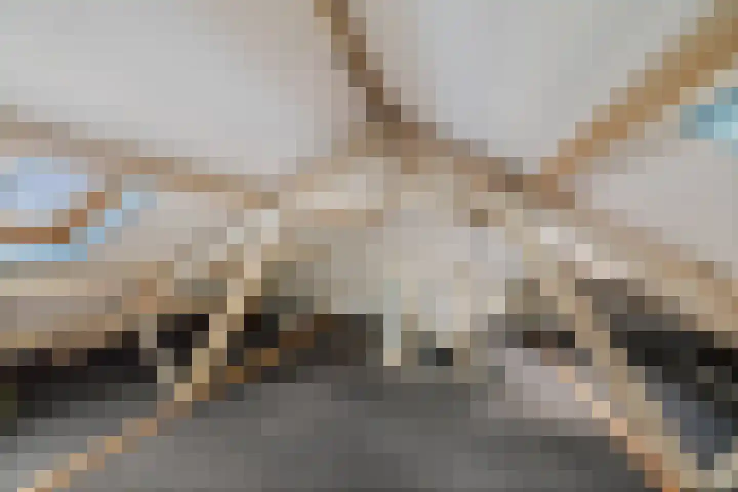 Banekaterveld 6 Colmschate thumbnail 21