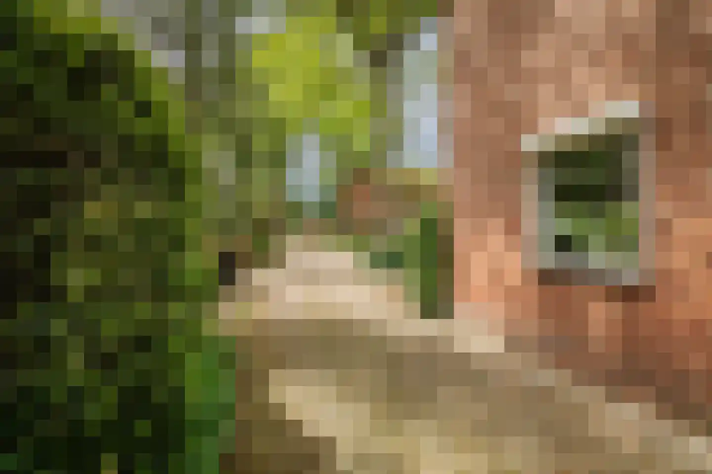 Banekaterveld 6 Colmschate thumbnail 27