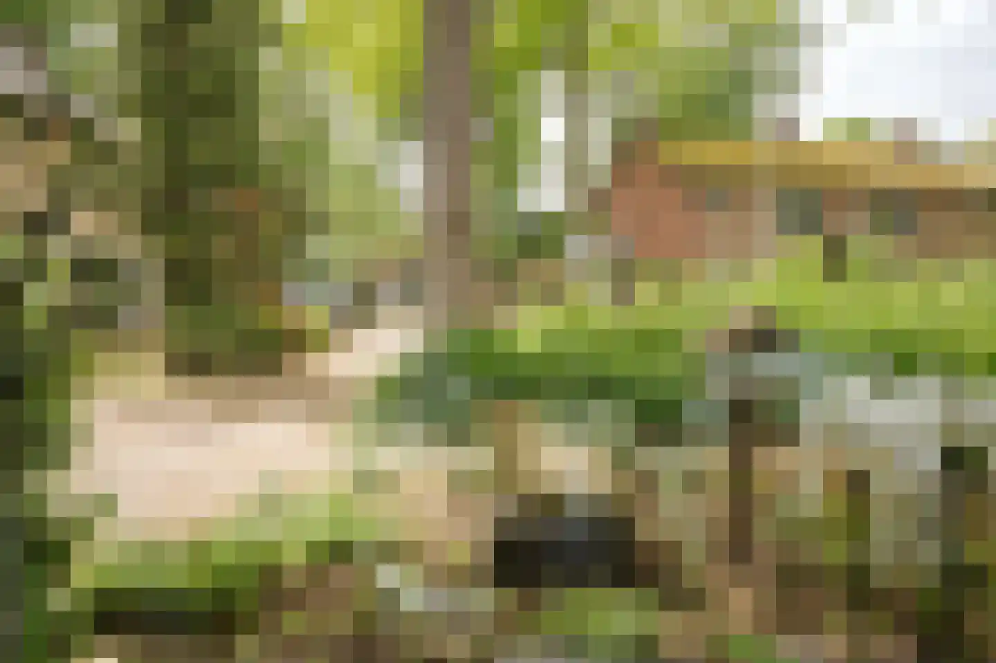 Banekaterveld 6 Colmschate thumbnail 29