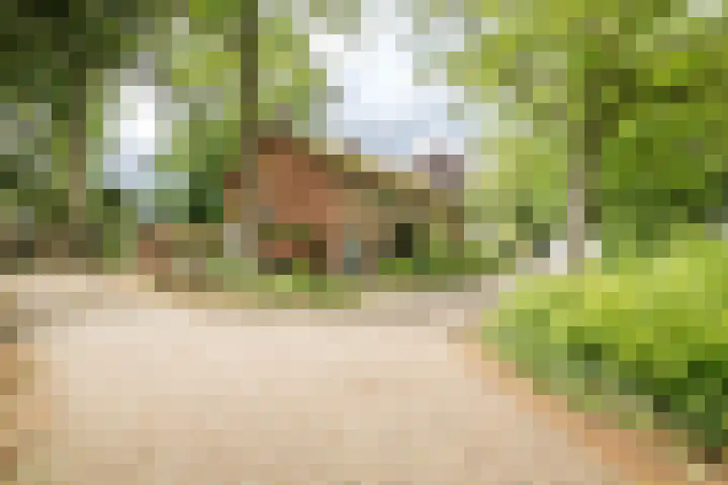 Banekaterveld 6 Colmschate thumbnail 30