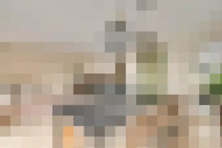 Banensweide 4 Beek thumbnail 14