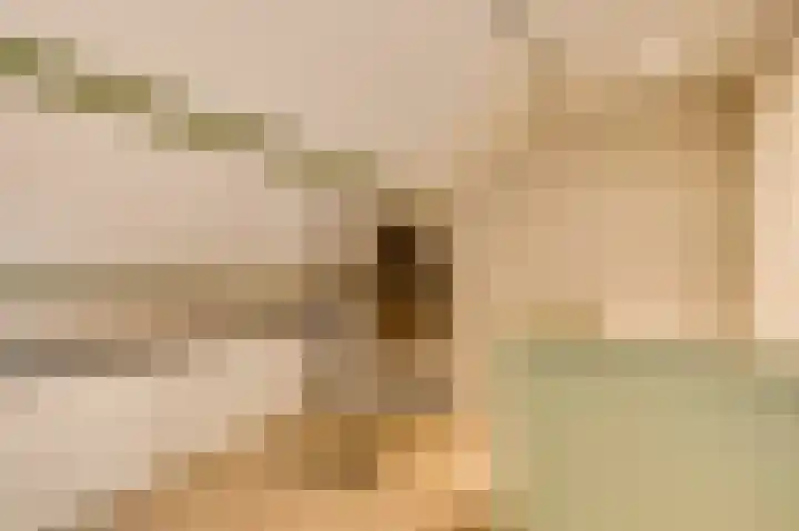 Banensweide 4 Beek thumbnail 36